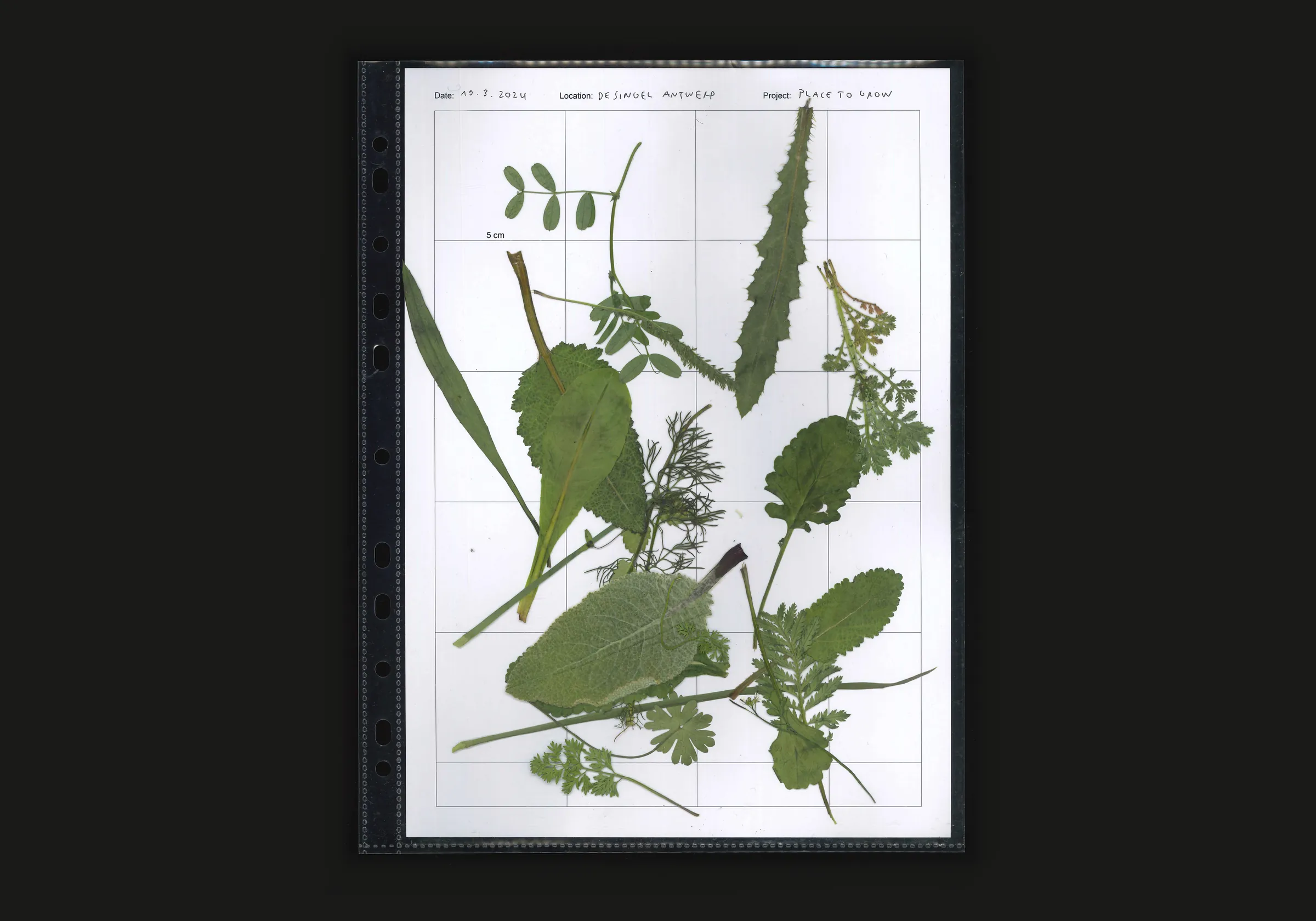 Project image